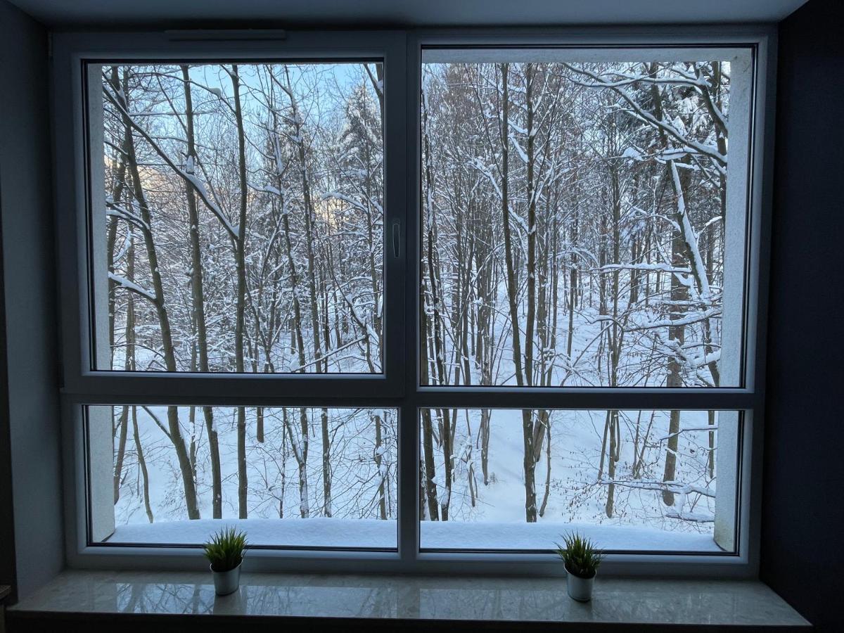 Apartament Kurort Kozubnik - Taras Nad Potokiem Porabka ภายนอก รูปภาพ