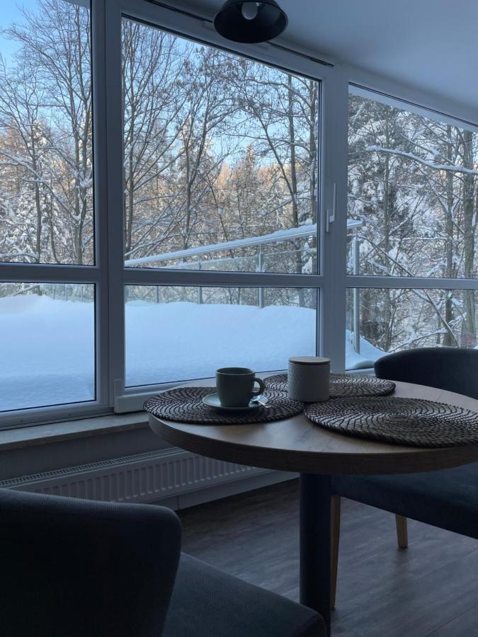 Apartament Kurort Kozubnik - Taras Nad Potokiem Porabka ภายนอก รูปภาพ